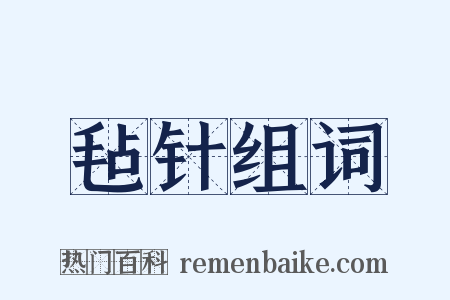 毡针组词是什么意思的图片